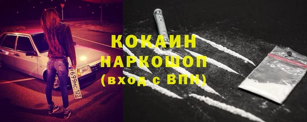 гидропоника Бородино