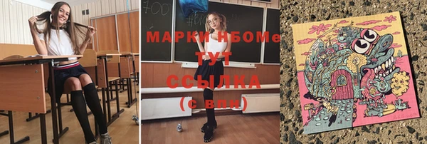 гидропоника Бородино