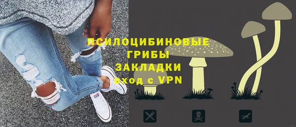 гидропоника Бородино