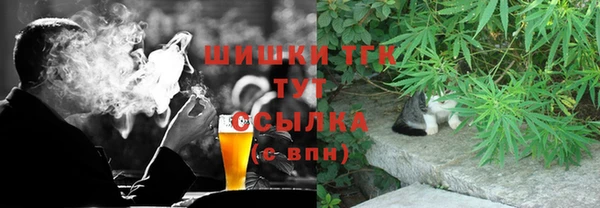 гидропоника Бородино