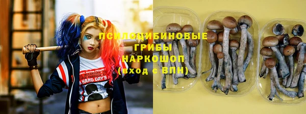 экстази Белокуриха